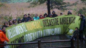 Valdivia: Organizaciones sociales y ambientales logran primera ordenanza para protección de humedales
