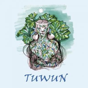 Tuwun-Muestra de cine indígena de Wallmapu abre convocatoria