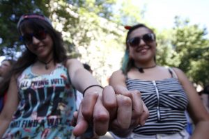Turres y Lavín: Diputados díscolos se desmarcan de la UDI y apoyan el matrimonio igualitario