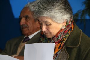 Vicepresidente ejecutivo del CRUCh critica nombramiento de Teresa Marshall en U. Aysén: "Invalida los argumentos" de destitución de Pey