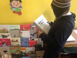 Asociación de Editores de Chile: "El Mineduc desprecia los libros, creación y producción chilena en compras públicas"