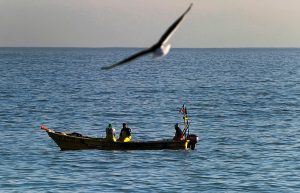 Pescadores artesanales: “Impresentable que Greenpeace nos pida dinero para proteger sustentabilidad cuando apoyó la Ley Longueira"