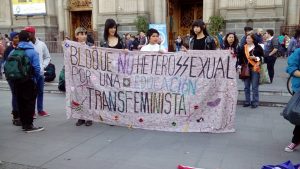 U. de Chile repudia agresión transfóbica a estudiantes de esa casa de estudios durante manifestación