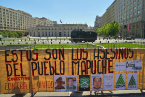 FOTOS| Así fue la Marcha por la Resistencia Mapuche y por la libertad de la machi Francisca Linconao