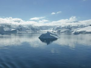 Antártica: Crean la mayor área protegida marina del mundo