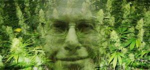 El "marihuanismo leninismo" responde: La carta del director de Revista Cáñamo a Mario Waissbluth