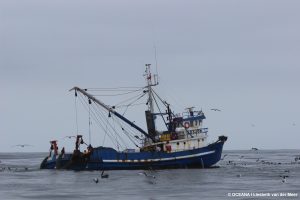 Pescadores denuncian ante Contraloría decreto que autoriza a GlobalPesca uso de barco factoría para extraer bacalao