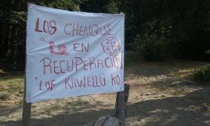 Organizaciones de DD.HH denuncian abusos policiales y exigen el fin de la represión en territorio pewenche