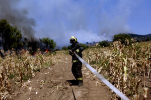 Despiden a bombero por ausentarse de su trabajo para combatir incendio en Hualañé