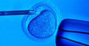Clínica confunde esperma y mujer queda embarazada de gemelos por un hombre desconocido