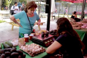 Mercado Ecológico de Santiago llega al Paseo Bulnes con productos sanos y libres de químicos