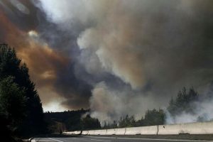 Alerta Roja en Viña del Mar y Valparaíso: Incendio forestal en sector alto de la Ciudad Jardín