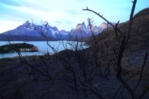 Parques de la Patagonia se convertirán en áreas protegidas para conservar la biodiversidad de la zona