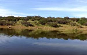 VIDEO| Académico explica la sequía que afecta casi al 80% de Chile