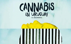 ¿Ya la viste? Última función de "Cannabis en Uruguay" hoy en Centro Arte Alameda