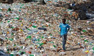 Un millón de botellas por minuto en el mundo: El impacto ambiental del plástico afecta hoy hasta nuestras comidas