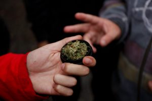 “Necesitamos saber qué es lo que están consumiendo nuestros jóvenes”: 480 muestras de marihuana decomisada serán analizadas por el ISP