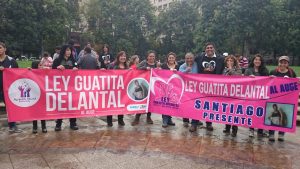 Agrupación "Guatita de delantal" pide que patología deje de ser considerada "estética" e ingrese al Auge