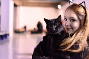 En el mes de los felinos: Fundación Adopta invita a nueva versión de GatoFest 8