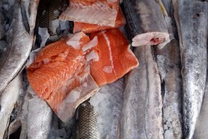 Duro revés para salmoneras: Obligan a entregar detalle sobre uso de antibióticos en peces