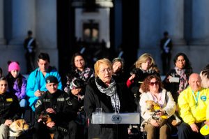 Bachelet promulga "Ley Cholito" y anticipa que el "abandono será considerado maltrato y crueldad animal"