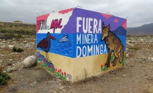 Andes Iron reduce a la mitad sus trabajadores luego de rechazo a minera Dominga