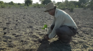 VIDEO| El documental sobre el hombre que plantó un árbol cada día de su vida por 37 años para salvar su isla