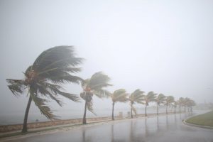 Florida se vuelca al rescate de personas y tareas de recuperación tras huracán Idalia