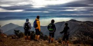 Se disfraza una devastación ambiental sobre la cota 1.000 en el cerro Lo Curro
