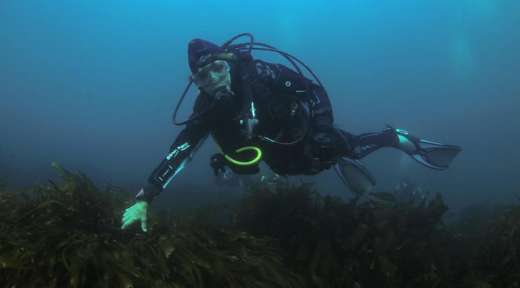 Sylvia Earle: La oceanógrafa anti Dominga que estará en el Congreso del Futuro