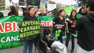Congreso de Perú aprueba regulación del uso medicinal y terapéutico del cannabis