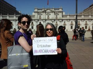 Por una educación no sexista en Chile: Sembrando en terreno labrado