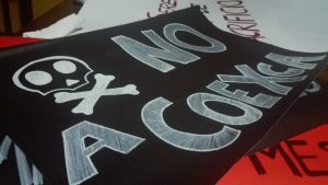 Como con las paltas en Petorca: Activistas de El Maule instarán a Dinamarca a boicotear inversión en chanchería de Coexca