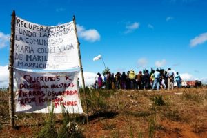 "El Desengaño": El documental que muestra cómo la industria forestal mintió para quitarle tierras a comunidades mapuche en Tirúa