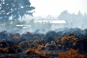 Alerta amarilla en Los Lagos: Incendios forestales han consumido más de 50 hectáreas