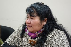 El desafío de representar a la mujer indígena rural en Chile