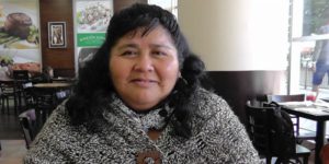 Emilia Nuyado Ancapichún, la primera mujer mapuche en ingresar al parlamento