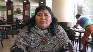 Emilia Nuyado, primera mujer huilliche en llegar al Congreso: "Voy a ser la voz y el voto de los mapuche en el Parlamento"