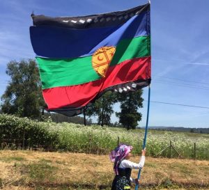"Las tierras robadas serán recuperadas": Crónica de la resistencia en el territorio pewenche