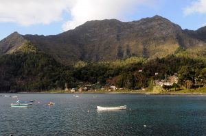 Comité de Ministros aprobó creación de parques marinos de Juan Fernández y Cabo de Hornos