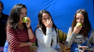 Una política de alimentación y nutrición en un Chile con sobrepeso