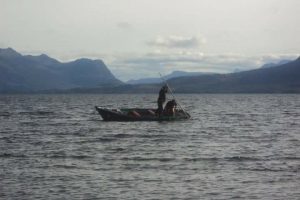 Sin azul, no hay verde: Protección urgente y efectiva para el mar adyacente al Parque Nacional Kawésqar