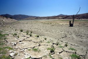 Petorca: Corte Suprema acoge recurso de protección del INDH que garantiza acceso a 100 litros diarios de agua potable por habitante