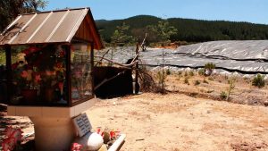 Grupo Errázuriz lleva un año sin cumplir sentencia ambiental por colapso de Tranque de Relaves tras terremoto de 2010