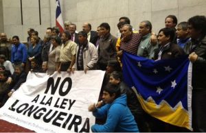 Pescadores artesanales critican a posibles subsecretarios de Pesca de Piñera: "Salimos del fuego para caer en las brasas"