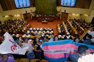 Narváez por despacho de Ley de Identidad de Género a Comisión Mixta: "Será desafío del próximo gobierno"