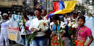 La mitad en Colombia: ONG registra 300 defensores de DDHH asesinados en todo el año pasado
