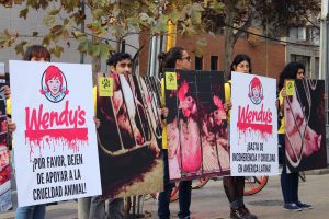 Activistas protestaron frente a multinacional Wendy's por prácticas crueles contra los animales