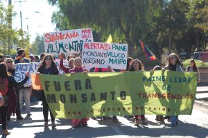 Comunidad de Paine organiza marcha en contra de planta de Monsanto-Bayer que se instalará en la comuna