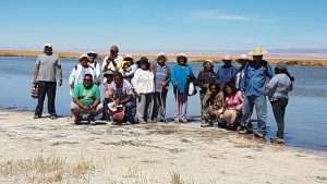 "Nos están obligando a emigrar": Comunidades indígenas inician alegatos ante la justicia por acuerdo Corfo-SQM
